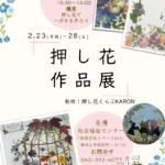 押し花展覧会